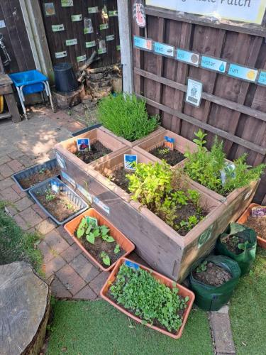 Fruit and Vegetable Patch